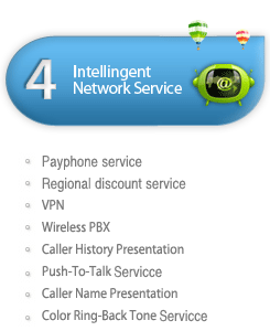 4.Intellingent Network Service